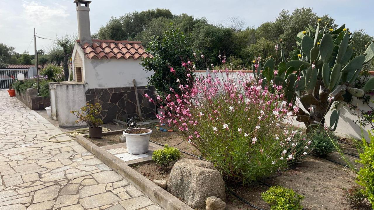 Sardegna - Villa Mirto & Flowers 奧爾比亞 外观 照片